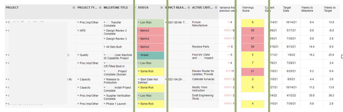 project report Individual milestone status